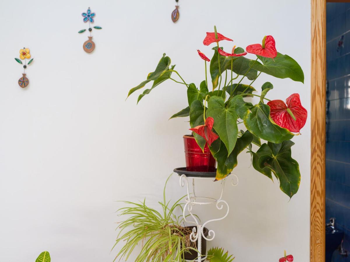 Agaete Pupe Home By Canariasgetaway Екстер'єр фото